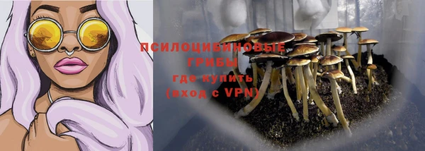 apvp Абдулино