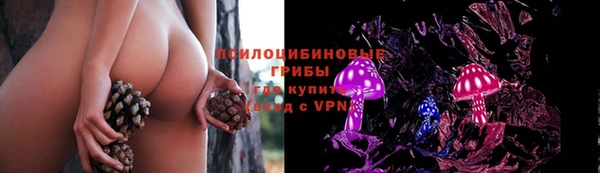 apvp Абдулино