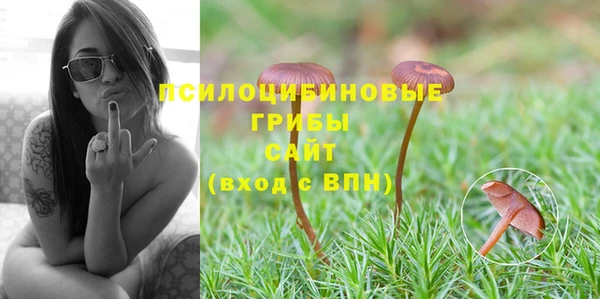 индика Михайловск