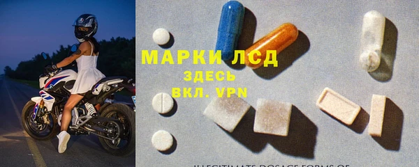 индика Михайловск