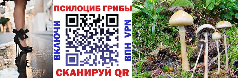 Псилоцибиновые грибы MAGIC MUSHROOMS  Ангарск 