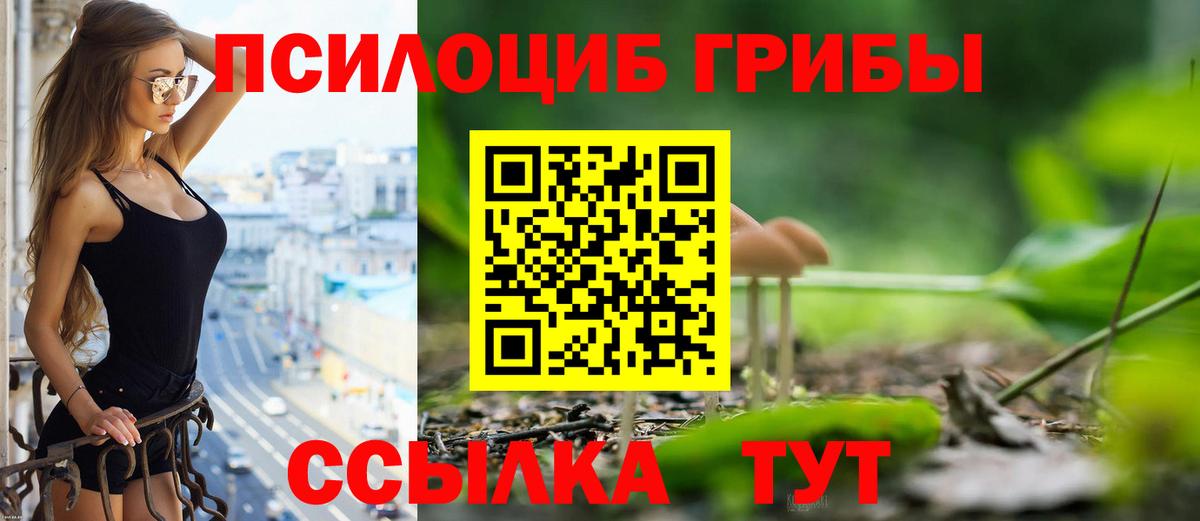 Псилоцибиновые грибы Cubensis Ангарск